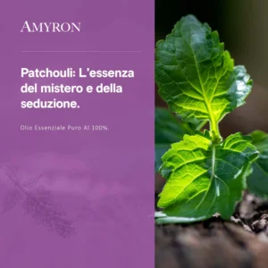 Olio essenziale di Patchouli AMYRON 100% puro