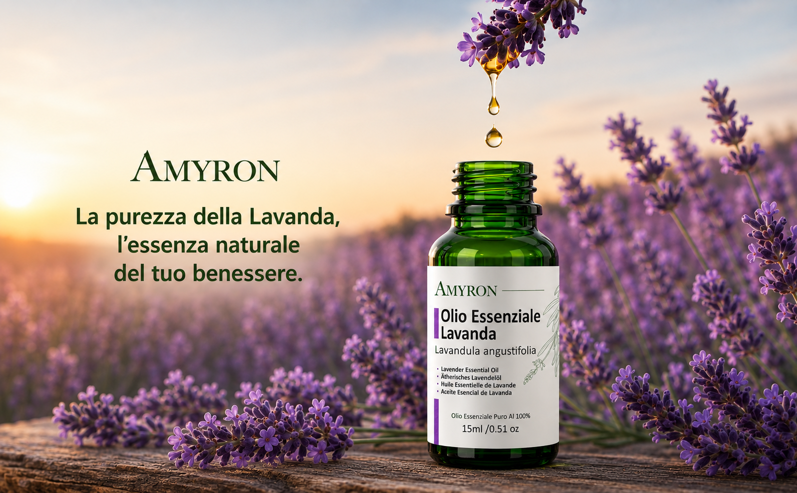 Gocce di olio essenziale di lavanda che scendono nel flacone AMYRON immerso in un campo di Lavandula angustifolia