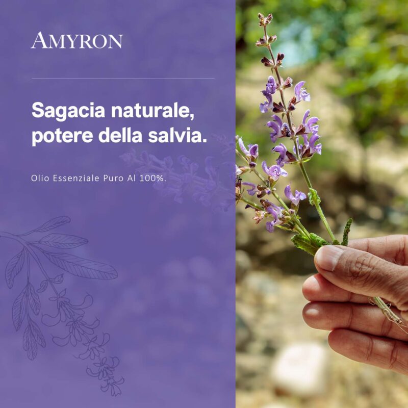 olio di salvia aromaterapia