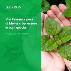 olio essenziale melissa
