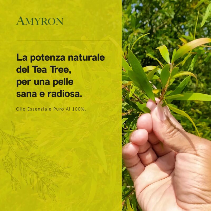 Olio essenziale tea tree