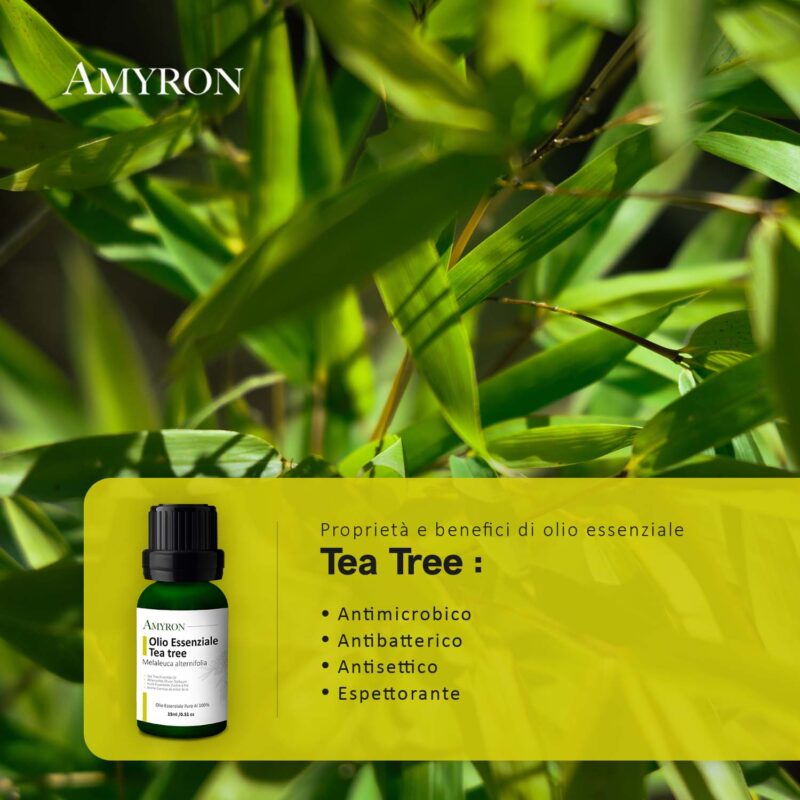 Olio essenziale tea tree naturale
