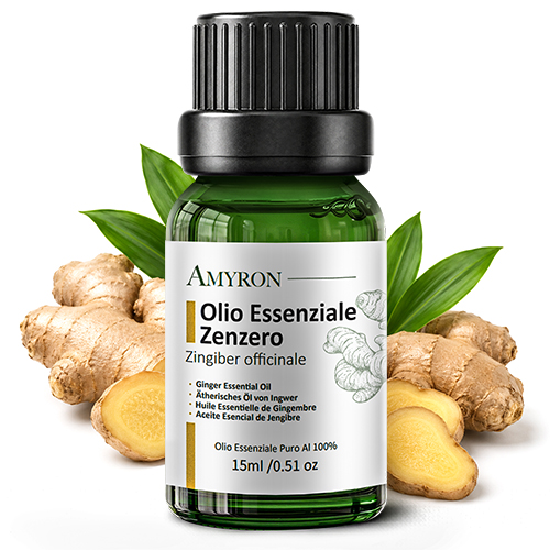 Olio essenziale di zenzero