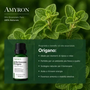 Pianta di Origano Origanum vulgare
