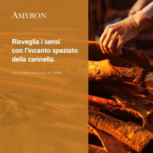 Raccolta della corteccia di cannella per la produzione dell'olio essenziale di Cinnamomum verum