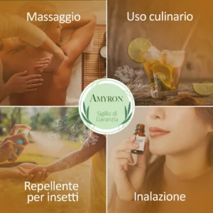 Utilizzi dell'Olio Essenziale di Cannella Corteccia AMYRON per aromaterapia e impieghi tradizionali