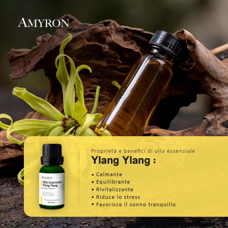 Olio essenziale ylang ylang