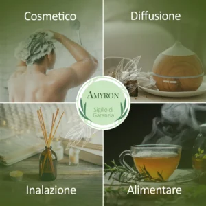 Usi dell'olio essenziale di alloro in aromaterapia diffusione e benessere
