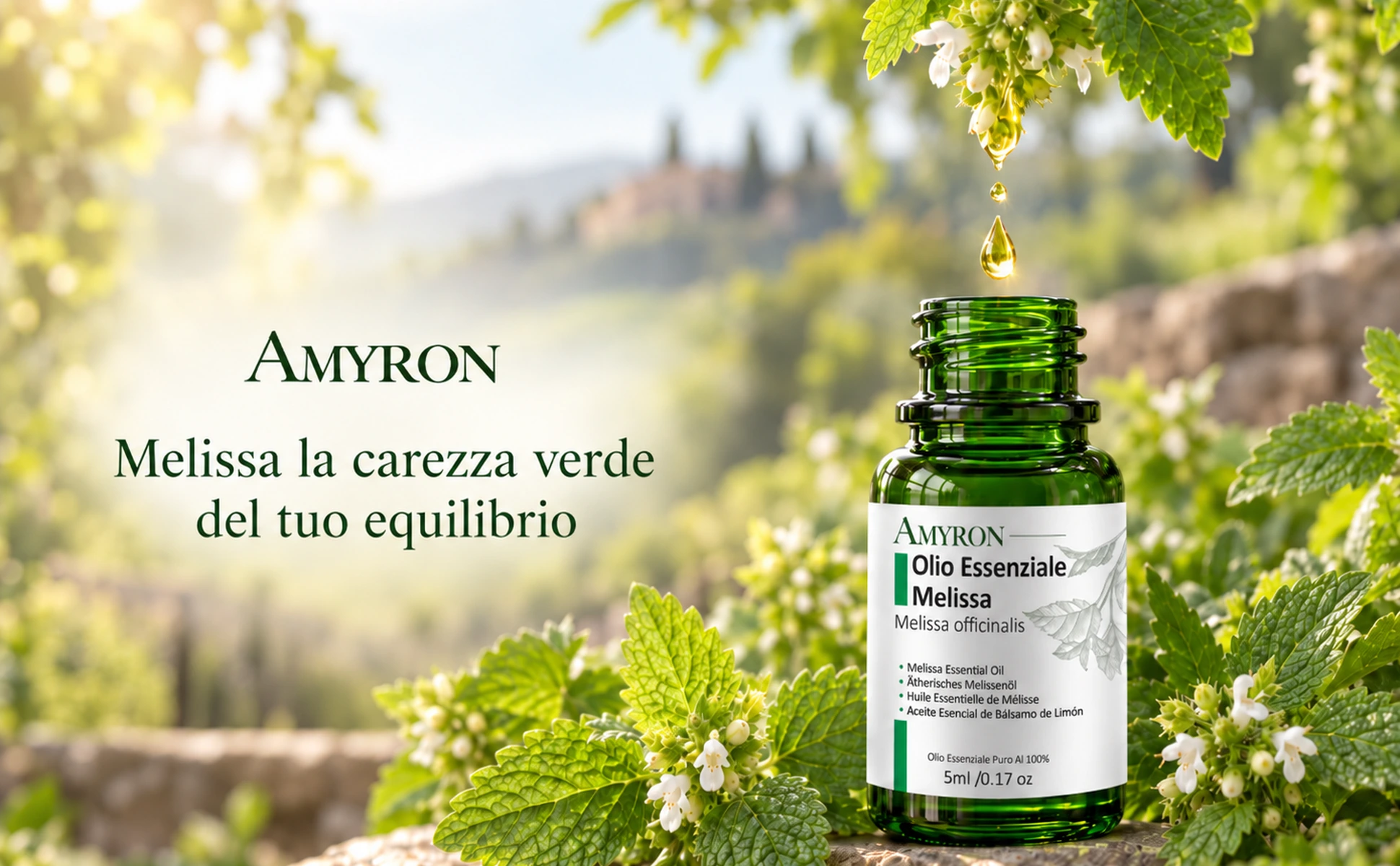 Olio essenziale di Melissa AMYRON 5ml in habitat naturale con ramo di Melissa officinalis che gocciola olio nel flacone
