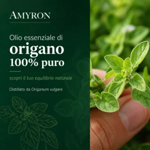 Olio essenziale di origano puro 100% naturale AMYRON ottenuto da Origanum vulgare