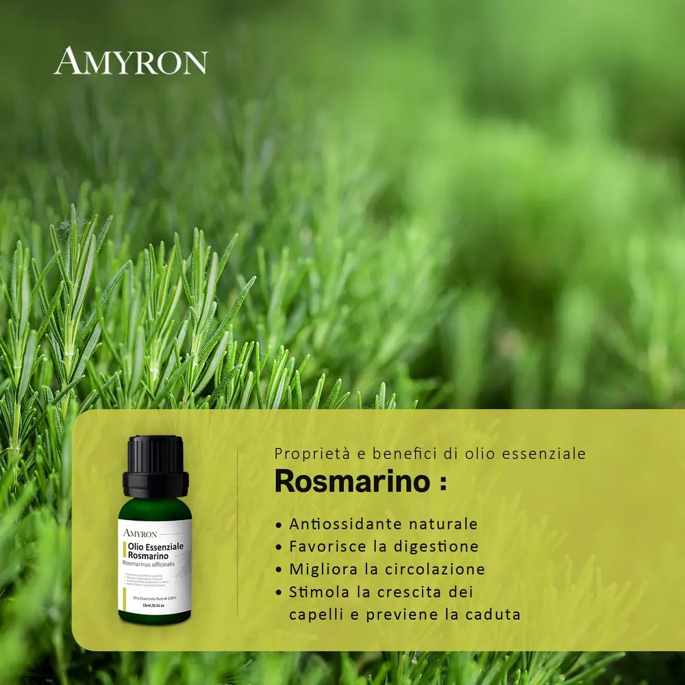 Infografica AMYRON con flacone di olio essenziale di rosmarino e riepilogo delle sue proprietà tra piante verdi