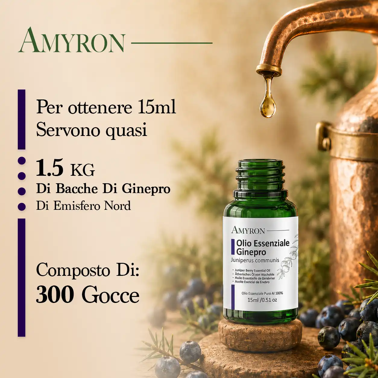 Produzione dell’olio essenziale di ginepro da bacche con flacone AMYRON da 15 ml