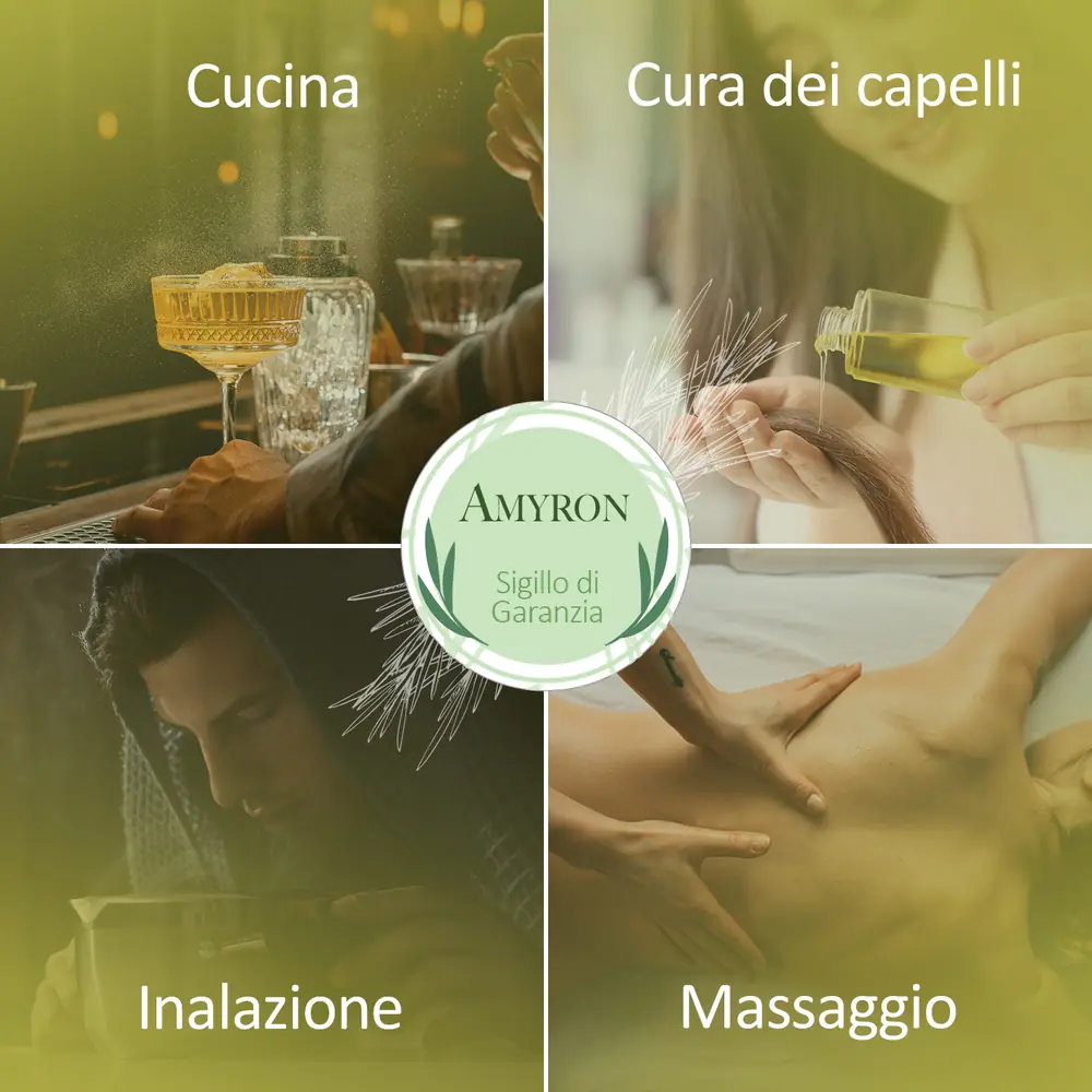 Infografica AMYRON sugli usi dell’olio essenziale di rosmarino in cucina, sui capelli, per inalazione e massaggio