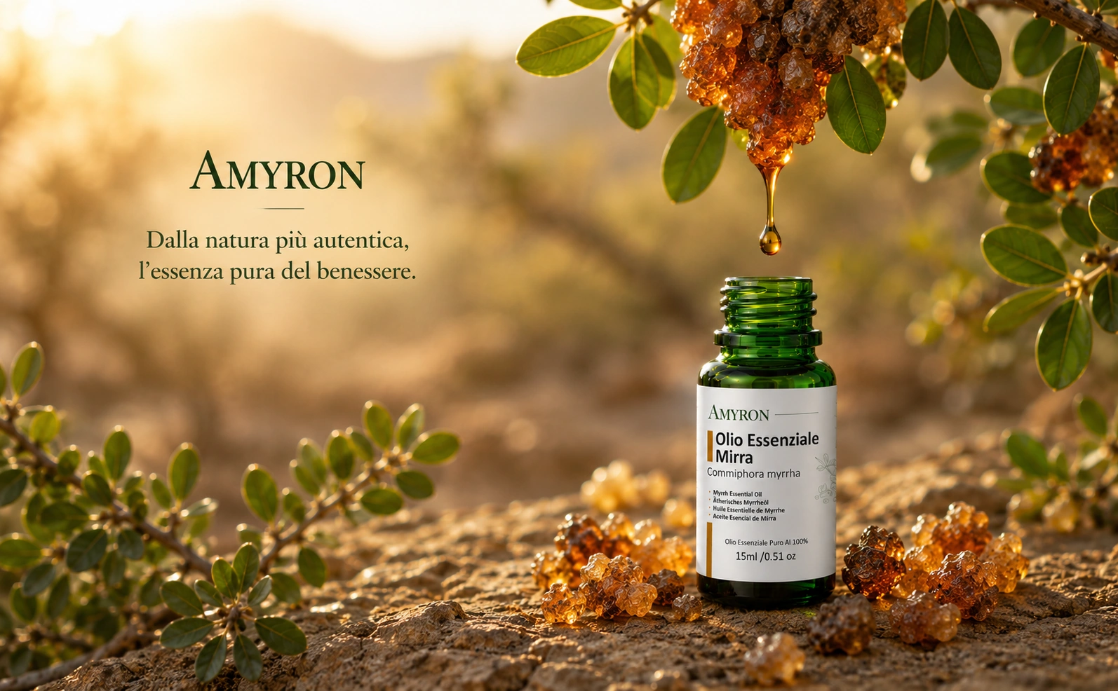 Olio essenziale di Mirra AMYRON 15 ml, Commiphora myrrha con resina naturale di mirra in ambiente botanico per aromaterapia