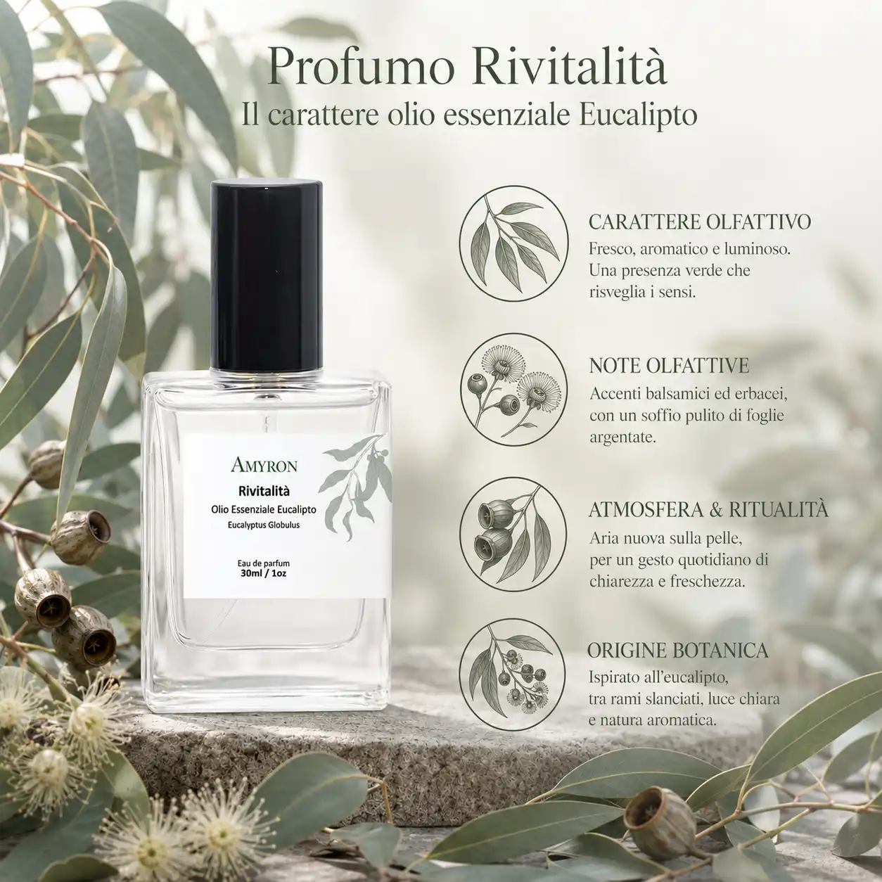 Profumo botanico all’eucalipto Rivitalità AMYRON con caratteristiche e note olfattive