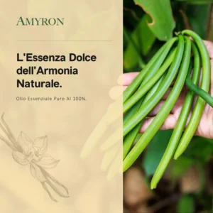 Baccelli di Vanilla planifolia utilizzati per produrre olio essenziale di Vaniglia Bourbon