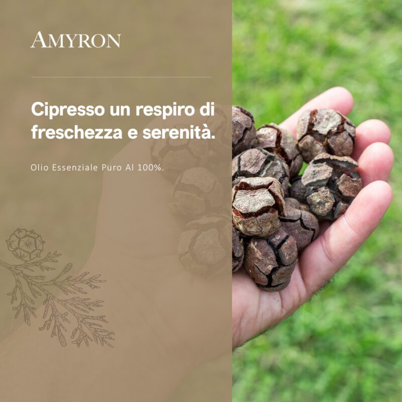 Olio essenziale di cipresso puro