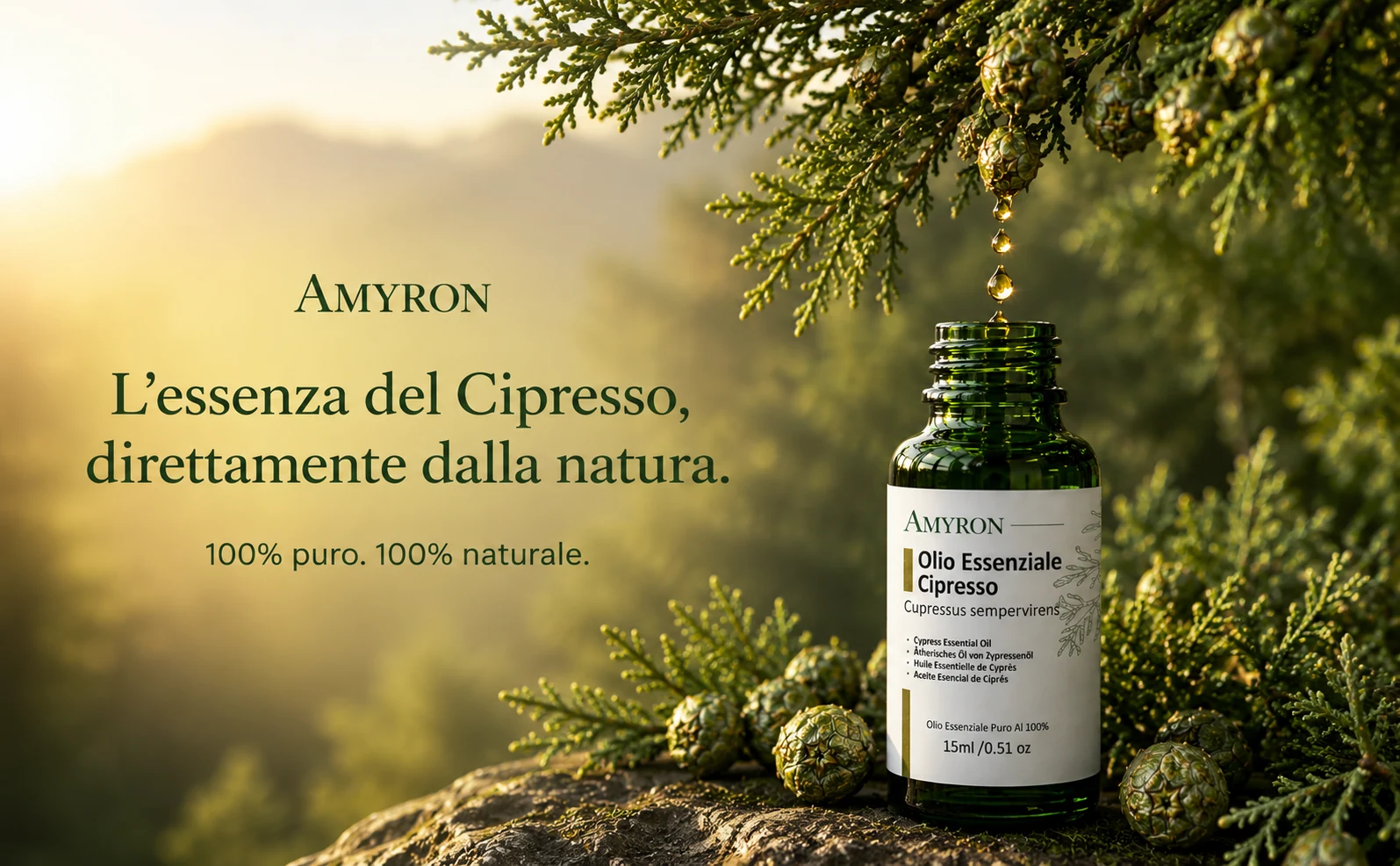 Olio essenziale di cipresso AMYRON con gocce naturali da ramo di cipresso