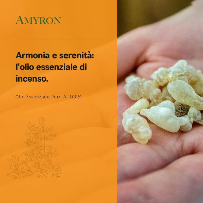 olio essenziale di incenso aromaterapia