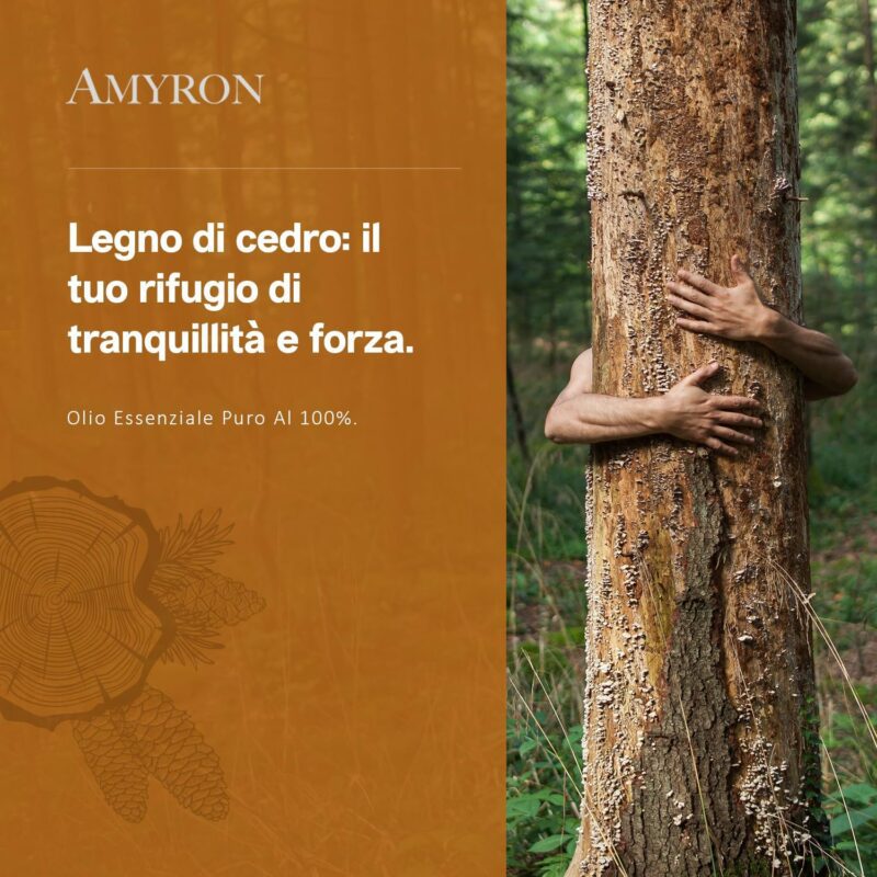 olio essenziale di legno di cedro naturale