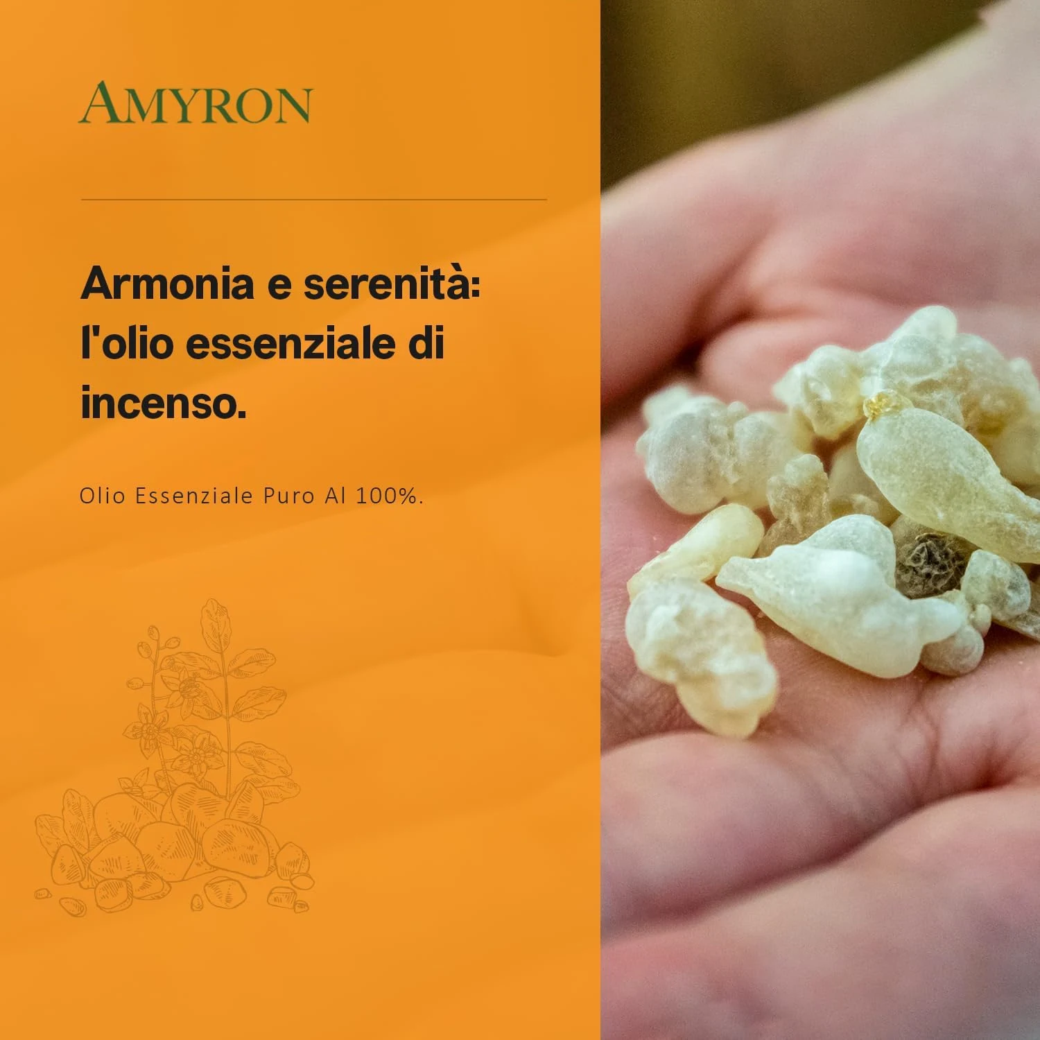 Olio essenziale di incenso per armonia e serenità