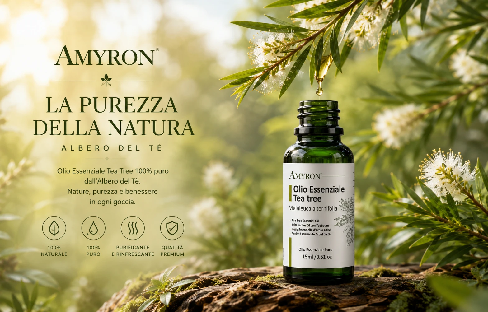 Olio essenziale Tea Tree AMYRON ottenuto dalla Melaleuca alternifolia immerso nel suo habitat naturale.