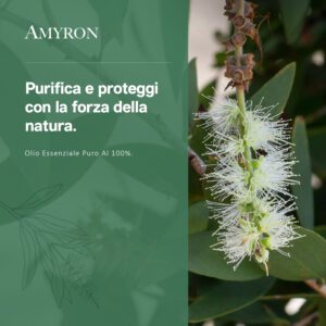 Olio essenziale Niaouli puro