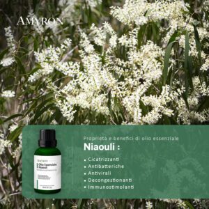 olio essenziale niaouli naturale