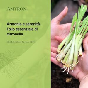 olio essenziale citornella aromaterapia