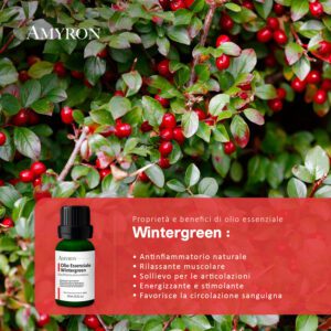 olio wintergreen puro