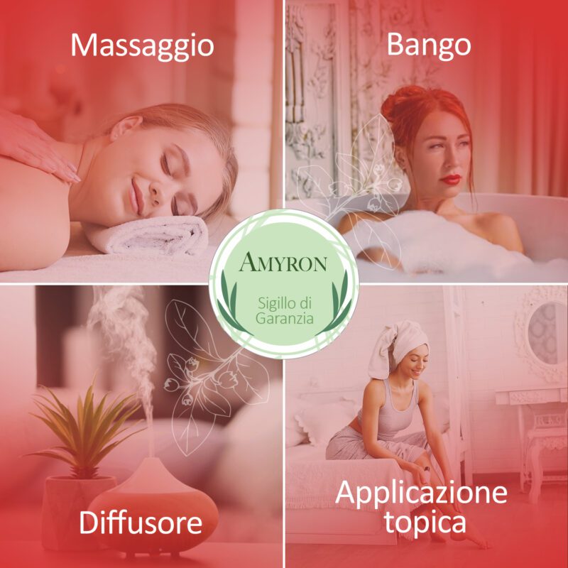 Olio essenziale di wintergreen - immagine 5