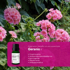 olio geranio aromaterapia