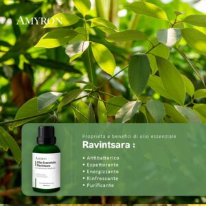 olio di ravitnsara per respirazione