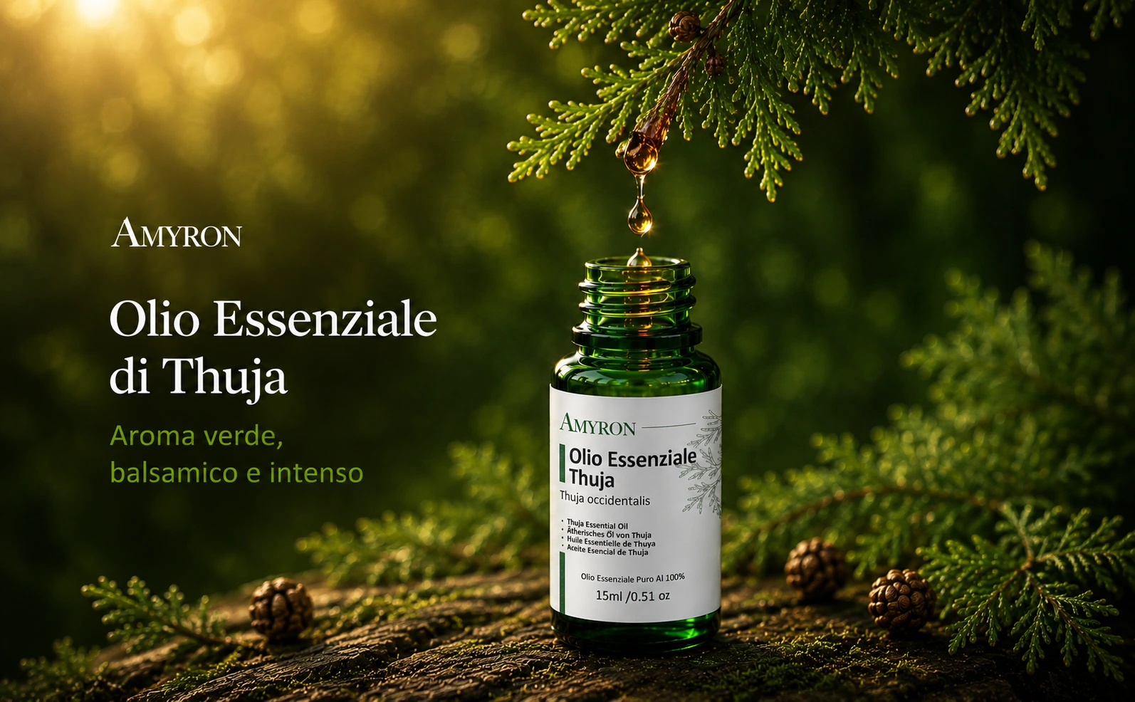 AMYRON olio essenziale di Thuja 15 ml con goccia dal ramo, aroma verde, balsamico e intenso