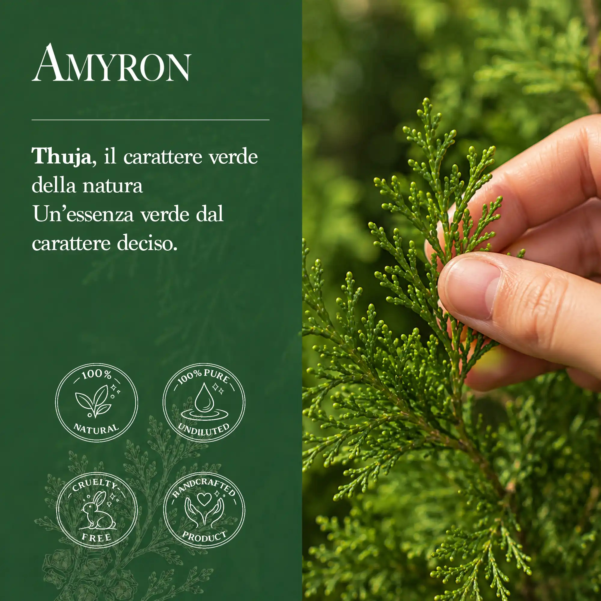 Donna in meditazione nella natura con Thuja AMYRON, immagine dedicata alla purezza botanica e aromaterapia