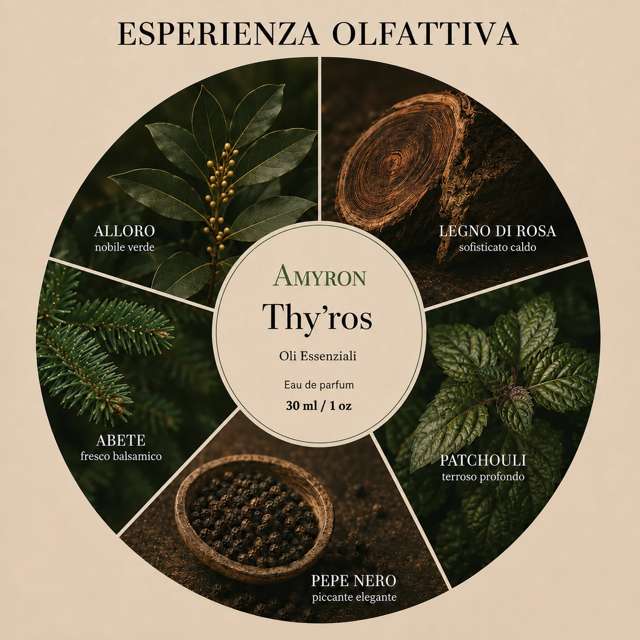 Thy’ros AMYRON con alloro, legno di rosa, patchouli, pepe nero e abete