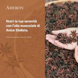 essenza di anice stellata alimentare