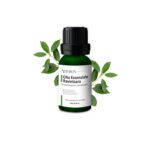 olio essenziale di ravintsara aromaterapia