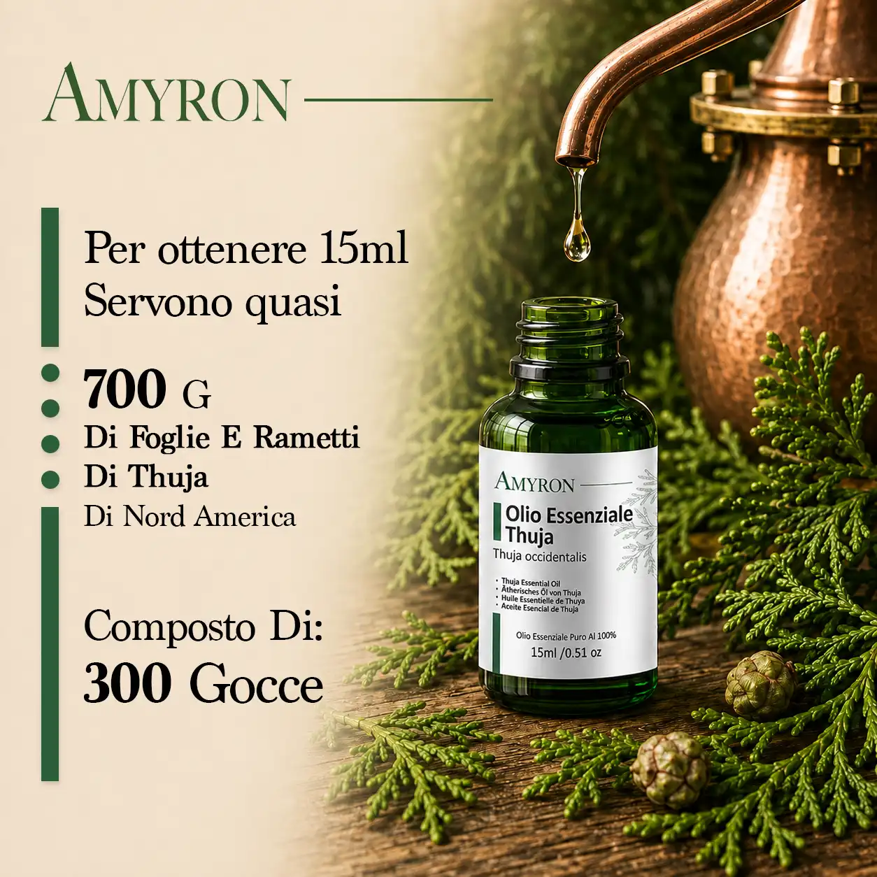 Olio essenziale Thuja AMYRON puro e naturale per diffusore e aromaterapia