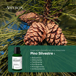 olio essenziale pino aromaterapia