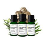 set oli essenziali respiro