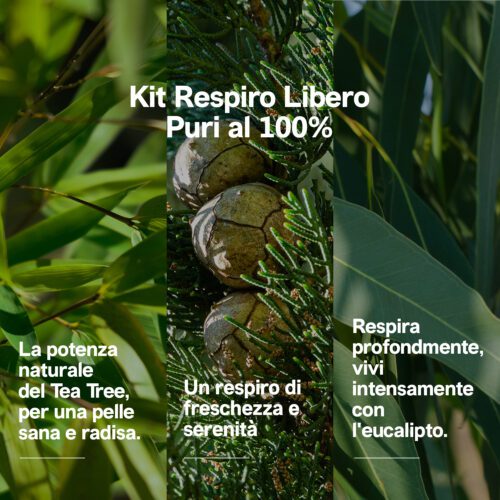 set oli Essenziali respiro aromaterapia