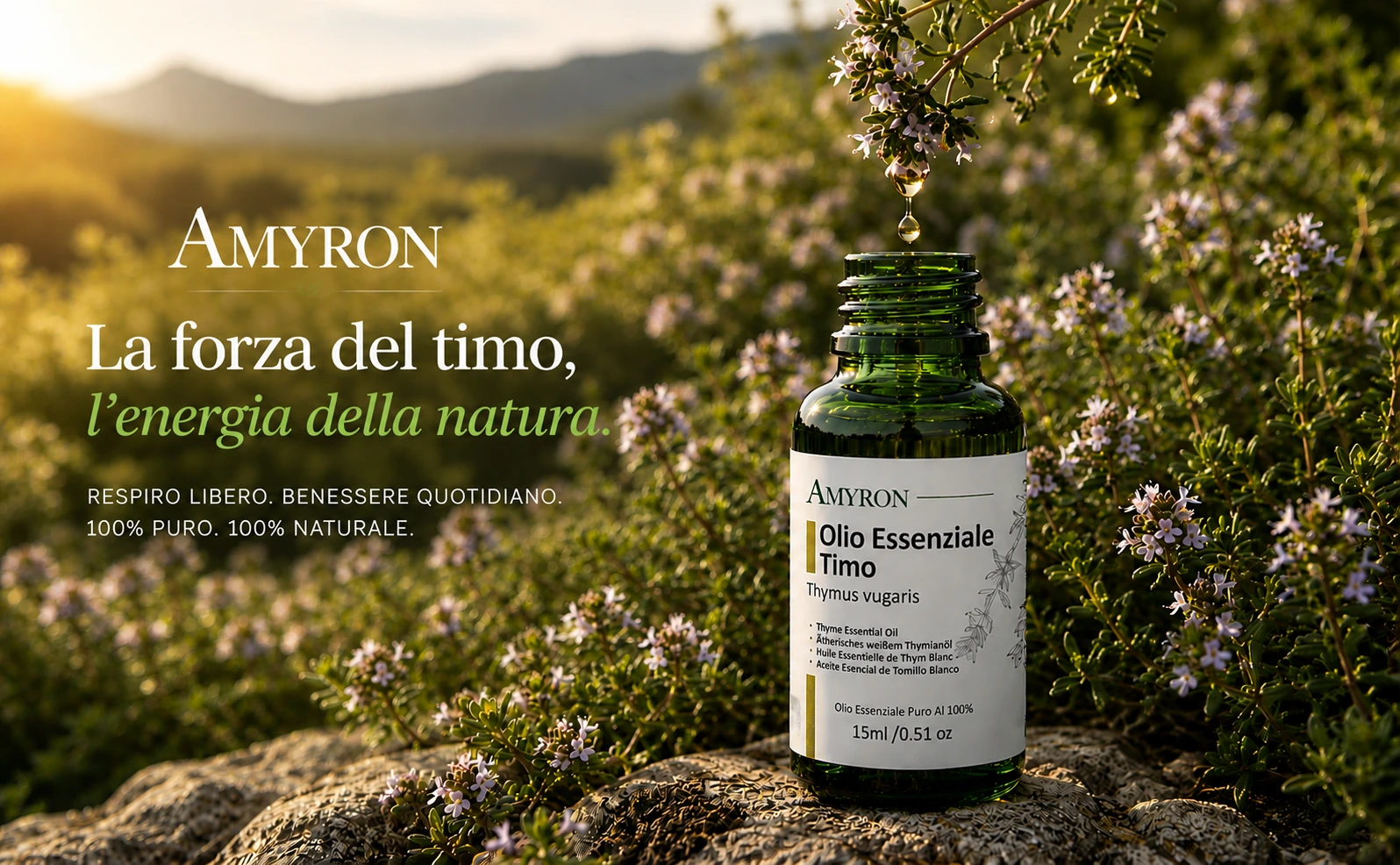 Olio essenziale di timo amyron puro naturale dalla pianta thymus volgare.
